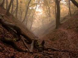 IMGP3763-Troldeslugten